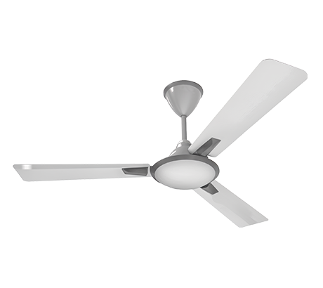 Celling Fan