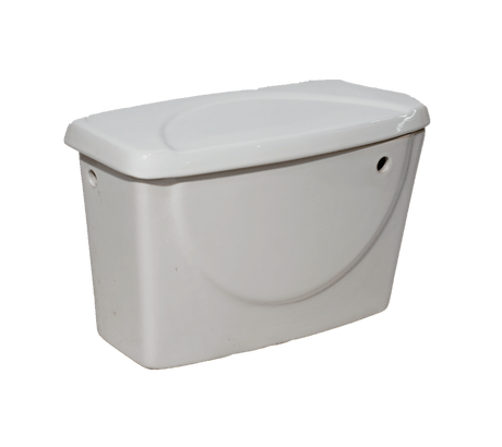 Flushing System